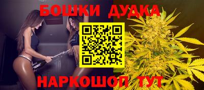 крисы Сланцы
