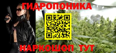 крисы Сланцы