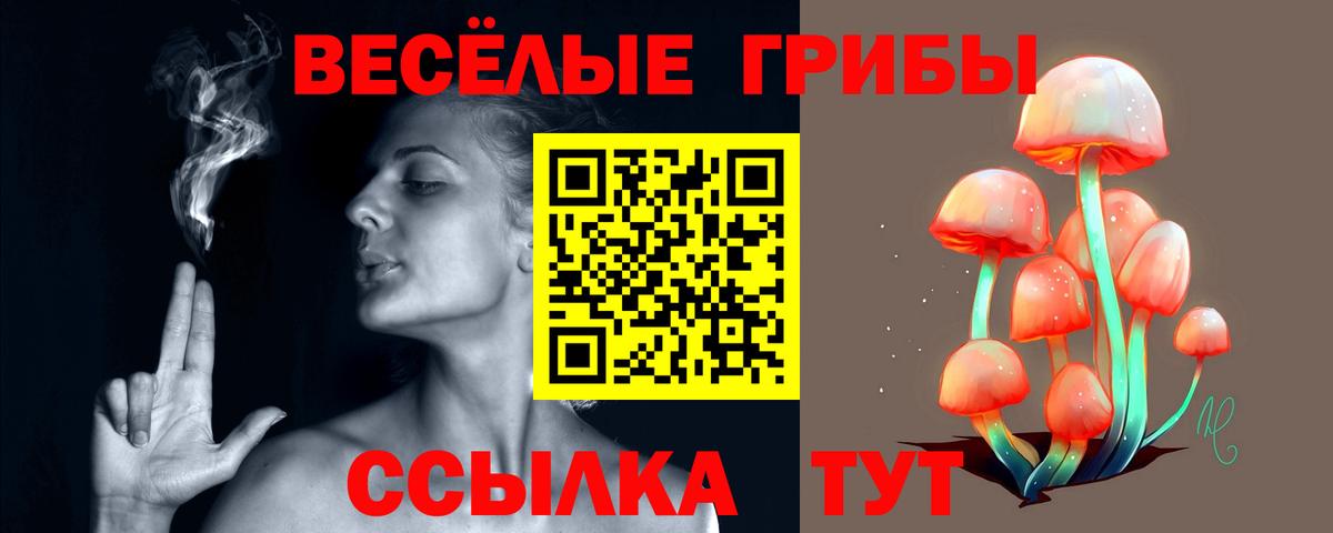 Псилоцибиновые грибы Psilocybine cubensis Самара